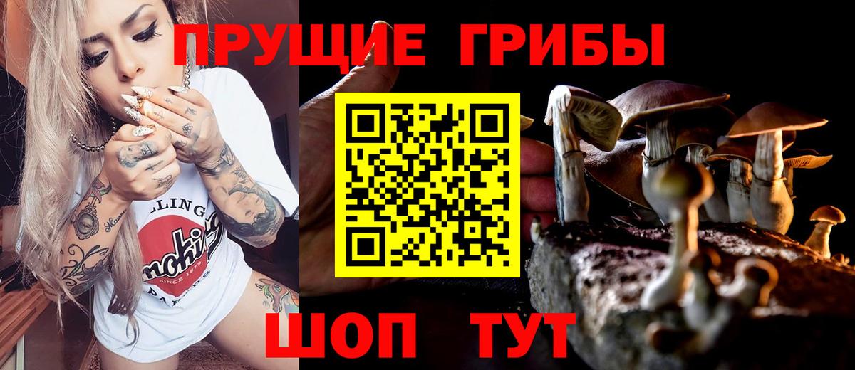 Галлюциногенные грибы Cubensis Фрязино